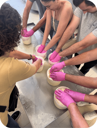 Cheese-making workshop on a working farm in Umbria
