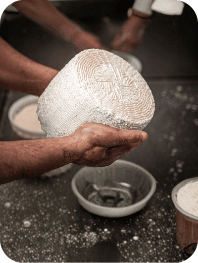 Pecorino cheese making experience with a local cheesemaker in Umbria