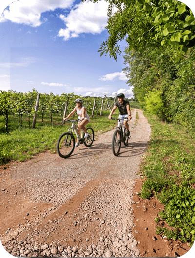 E-bike tour experience through hills and villages in Umbria