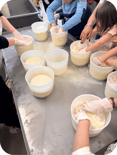 Learning traditional cheese-making during a farm experience in Umbria