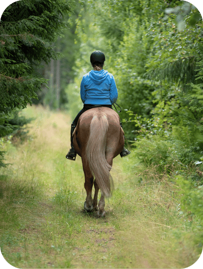 Horseback riding experience through the Umbrian countryside