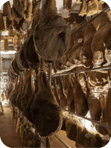 Cured meats aging room on a traditional Umbrian farm