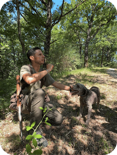 Truffle hunting dog searching for truffles in the Umbrian countryside