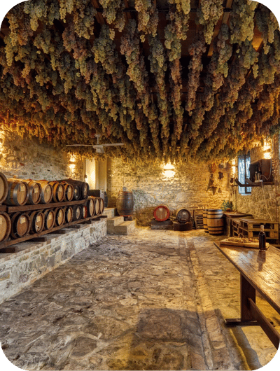Vino Santo tasting experience with pecorino cheese in Umbria