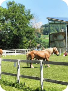 Preparing horses before a guided horseback riding experience in Umbria