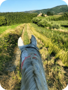 Horseback riding experience through fields in Umbria, Italy