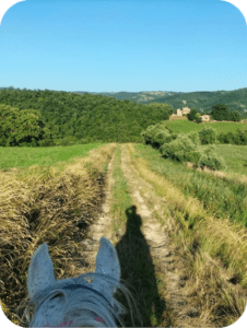 Guided horseback riding trail through rolling hills in Umbria, Italy