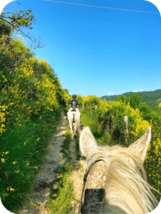 Rider on horseback overlooking panoramic Umbrian countryside landscape