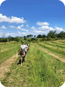 Small group horseback riding experience in the Umbrian countryside