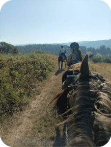 Horse walking through the Umbrian countryside during a guided riding experience