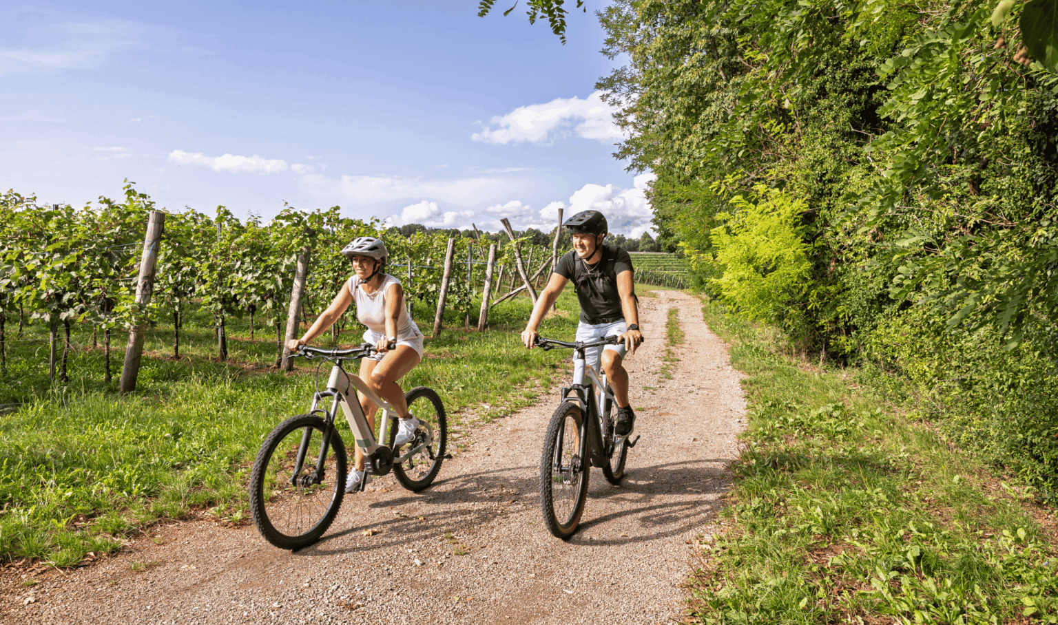 Electric bikes ready for rental in the Umbrian countryside with panoramic hills and vineyards