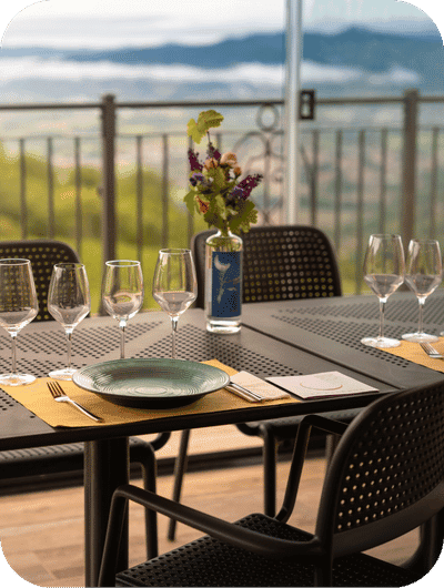 Guided wine tasting at an organic winery in Umbria