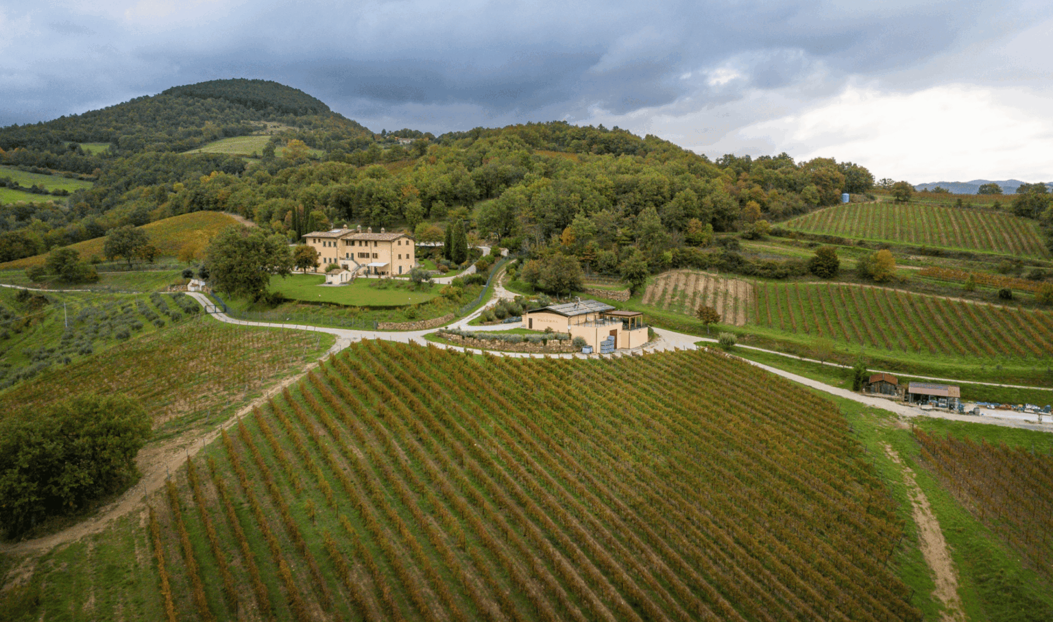 high_altitude_vineyards_organic_winery