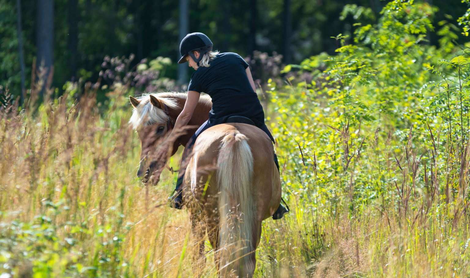 Horseback riding experience in the Umbrian countryside with panoramic hills