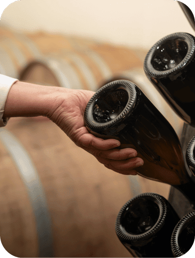 Wine aging cellar inside an organic winery in Umbria