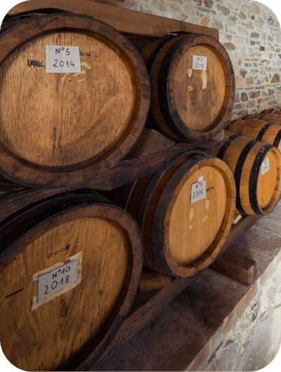 Tasting Vino Santo during a winery visit in Umbria