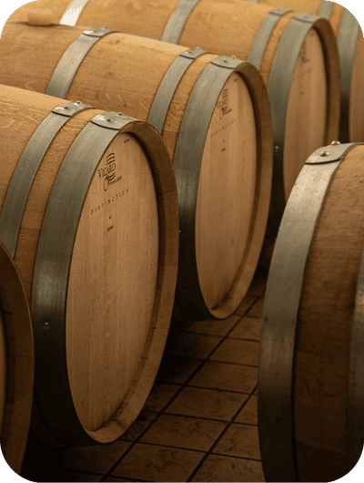 Oak barrels used for wine aging in an Umbrian winery