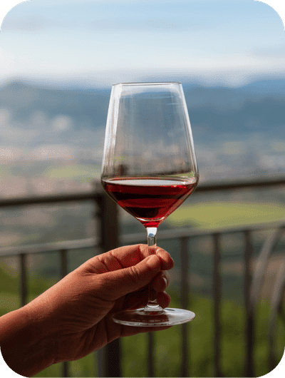 Wine tasting experience inside a hillside winery in Umbria